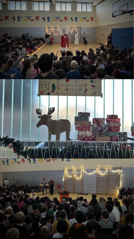 Neueste_Fotos_anzeigen